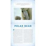 Polar-A-Photicular-Book-Book