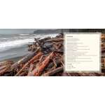Salmon, Cedar, Rock & Rain: Washington’S Olympic Peninsula - Book - Paracay