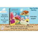 Sea Turtle Family - Book - Paracay