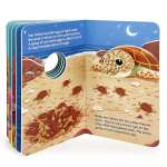 Sea Turtle Family - Book - Paracay