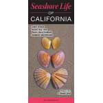 Seashore Life of California - Book