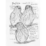 The Backyard Bird Chronicles - Book - Paracay