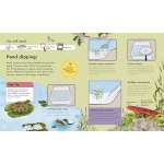 The-Children'S-Book-Of-Wildlife-Watching-Book