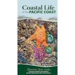 Coastal Life of the Pacific Coast: Discover Tidepools and Identify Beachcombing Finds and Iconic Wildlife - Spiral Bound