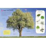 Ultimate-Sticker-Book-Trees-And-Leaves-Book