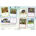 Ultimate-Sticker-Book-Trees-And-Leaves-Book