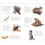 Wild-Wonderful-Tattoo-Woodland-Animals-60-Temporary-Tattoos-That-Teach-Book