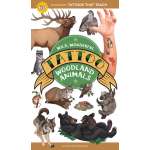 Wild, Wonderful Tattoo Woodland Animals: 60 Temporary Tattoos That Teach - Book