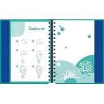 Wipe-Clean How To Draw Ocean - Book - Paracay