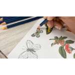 Woodlandia - Book - Paracay