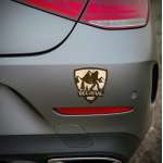 Believe Shield - Vinyl Sticker (1 STICKER) - paracay