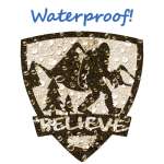 Believe Shield - Vinyl Sticker (1 STICKER) - paracay