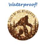 Don't Be An Assquatch - Vinyl Sticker (1 STICKER) - Paracay