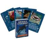 Marine Wildlife of the Pacific Northwest - Playing Cards