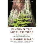Finding the Mother Tree: Discovering the Wisdom of the Forest - Book