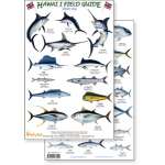 Hawaii Sport Fish Guide (Laminated 2-Sided Card)