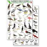 Mexico Field Guide: Baja, Sea of Cortez Sea & Shore Bird Guide (Laminated 2-Sided Card)