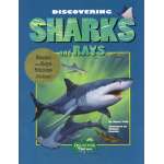 Kids Books about Fish & Sea Life :Discovering Sharks and Rays