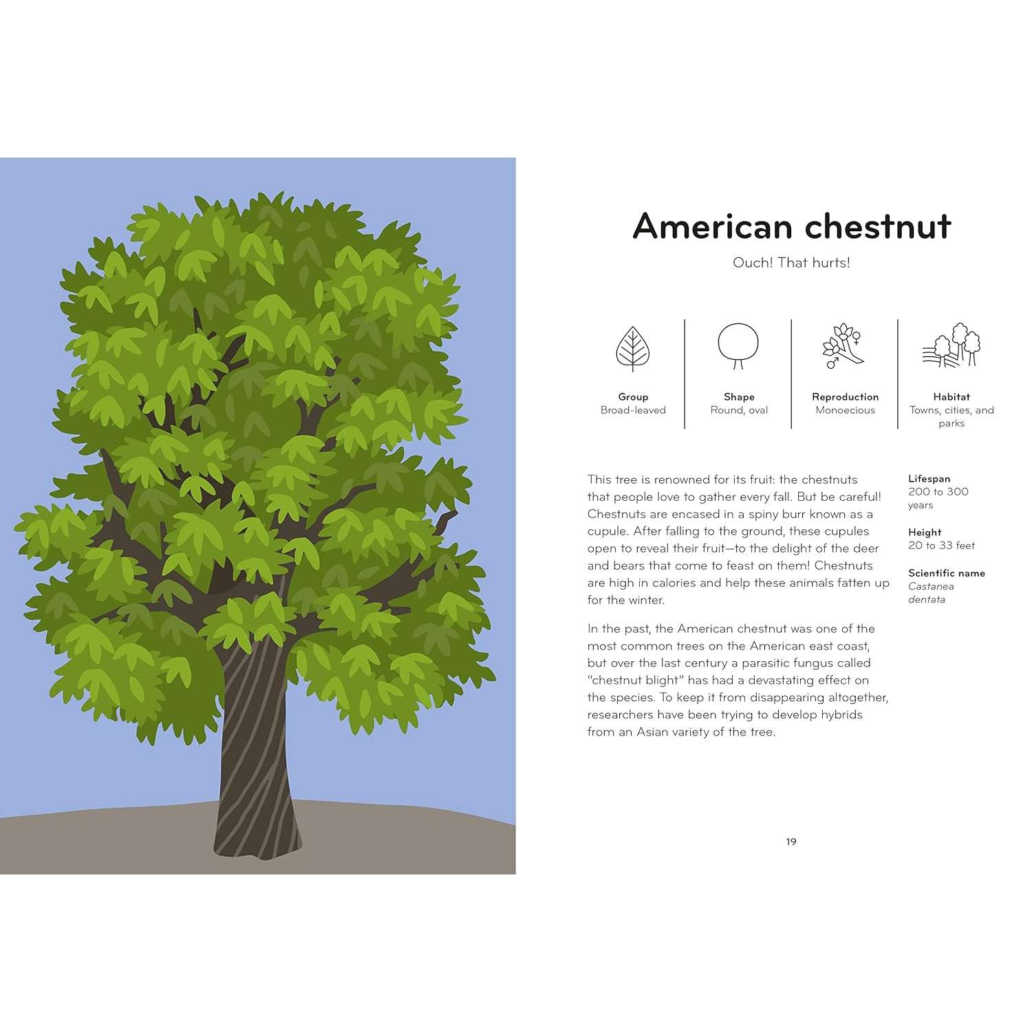 Arborama: The Marvelous World of Trees - Book - Paracay