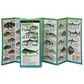 Fishes of Florida's Gulf Coast (Folding Guides)