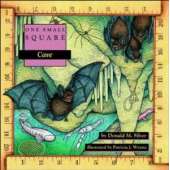 One Small Square: Cave