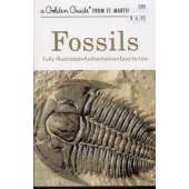 Dinosaur Books for Children :Fossils (Golden Guide)