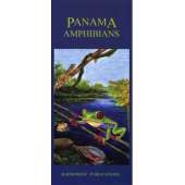 Reptile & Mammal Identification Guides :Panama: Amphibians (Folding Pocket Guide)