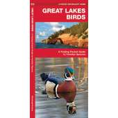 Great Lakes Birds