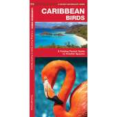 Caribbean Birds (Folding Pocket Guide)