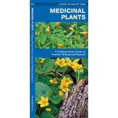 Medicinal Plants