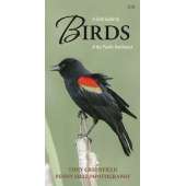 A Field Guide to Birds of the Pacific Northwest (Folding Pocket Guide)