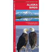 Alaska Birds (Folding Pocket Guide)