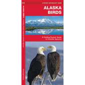 Alaska Birds