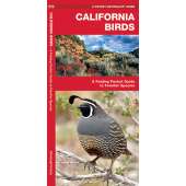 California Birds (Folding Pocket Guide)