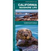 California Seashore Life (Folding Pocket Guide)