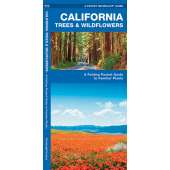 California Trees & Wildflowers  (Folding Pocket Guide)