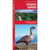 Hawaii Birds (Folding Pocket Guide)