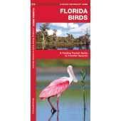 Florida Birds (Folding Pocket Guide)