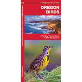 Oregon Birds