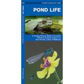 Pond Life  (Folding Pocket Guide)