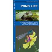 Pond Life