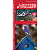 Backyard Birds of North America (Folding Pocket Guide)