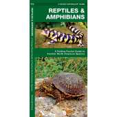 Reptiles & Amphibians