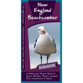 New England Beachcomber  (Folding Pocket Guide)