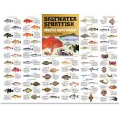 Alaska :Saltwater Sport Fish of the Pacific NW: Monterey to Alaska POSTER (36" x 27")