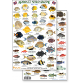 Hawaii Reef Fish #1 (Laminated 2-Sided Card)