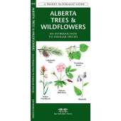 Alberta Trees & Wildflowers (Folding Pocket Guide)