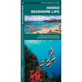 Hawaii Seashore Life