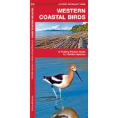Western Coastal Birds (Folding Pocket Guide)