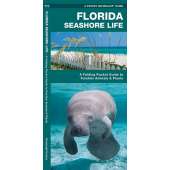 Aquarium Gifts and Books :Florida Seashore Life